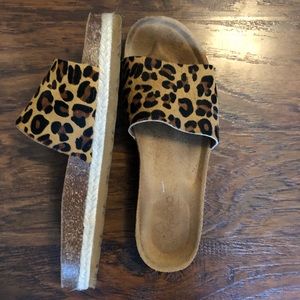 Cheetah Print Slides